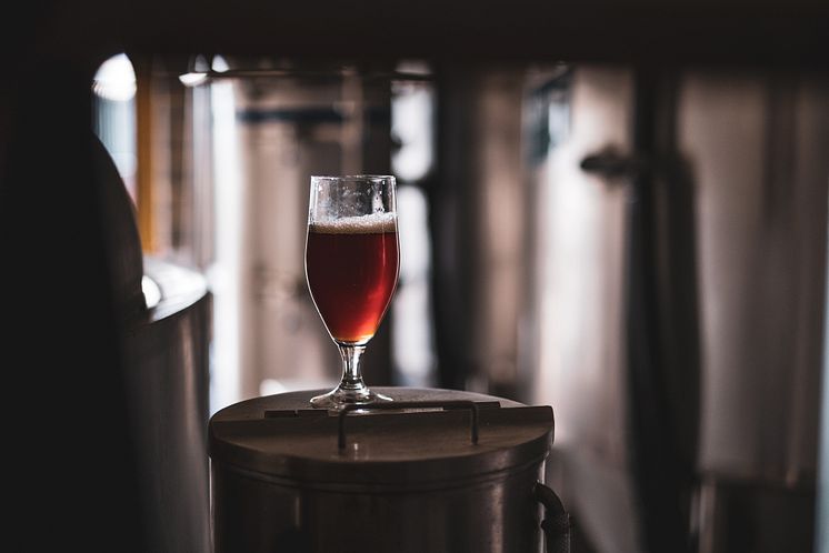 beer-5817914.jpg