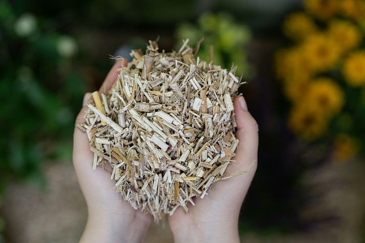 Floragard_Miscanthus Mulch.jpg