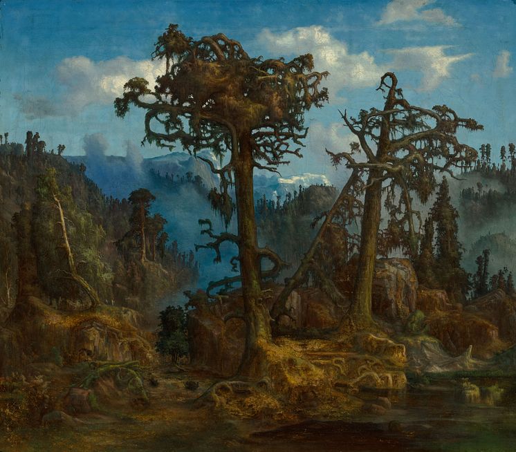 Lars Hertervig, Gamle Furutrær, 1865. Olja på duk, 64 x 74,5 cm. 