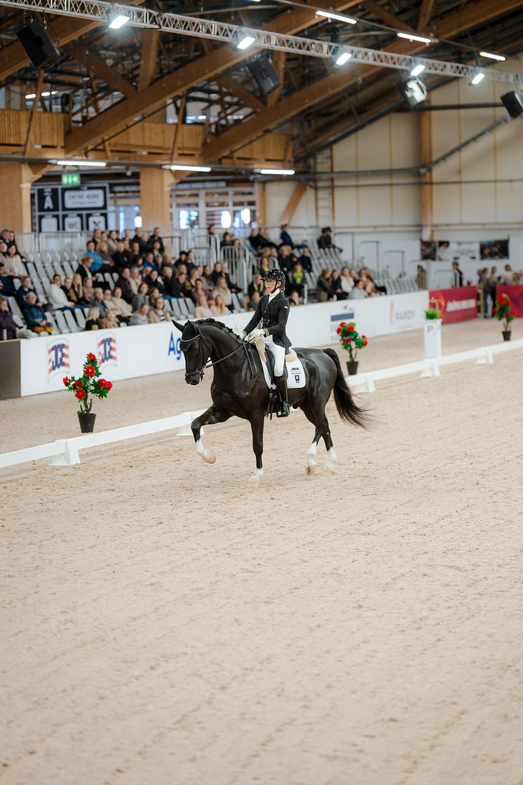 Segrare Agria Star of Tomorrow för 5-åriga dressyrhästar Ebba Winde-Björk, Helsingborgs Fältrittklubb – Lyckans Lautarez 