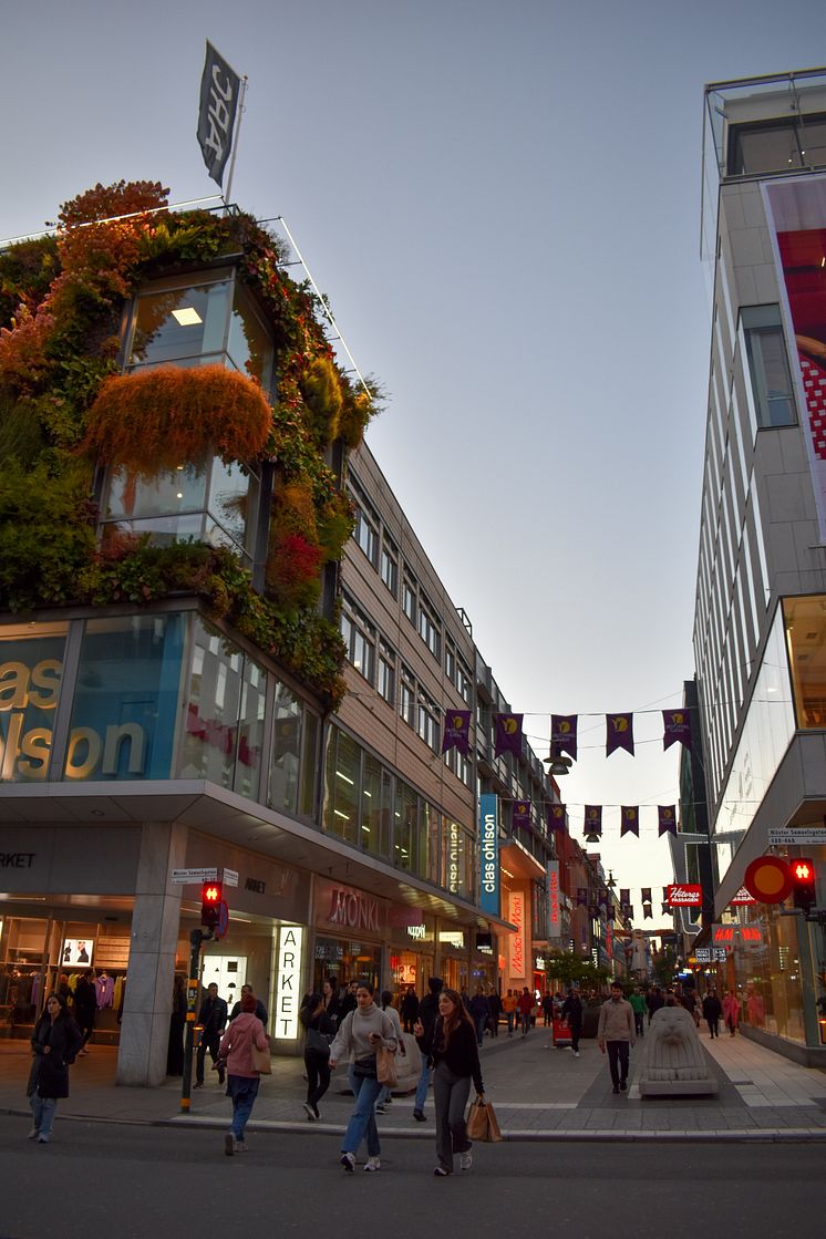 Drottninggatan_2.jpg