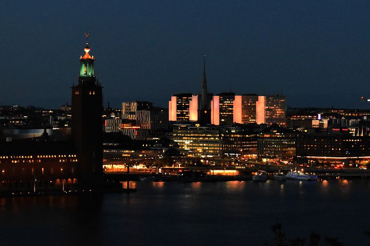 Hötorgsskraporna 2023_2_Foto Riksinsamlingen för Världens Barn_red.jpg