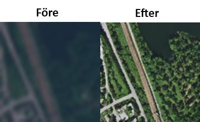 Metria biodiversitetsdagen 2025.png