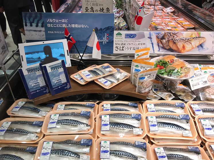 Norsk makrell i japansk supermarked (1).jpg
