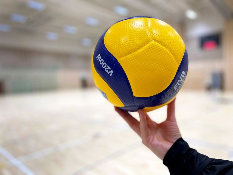 Volleyboll.jpg