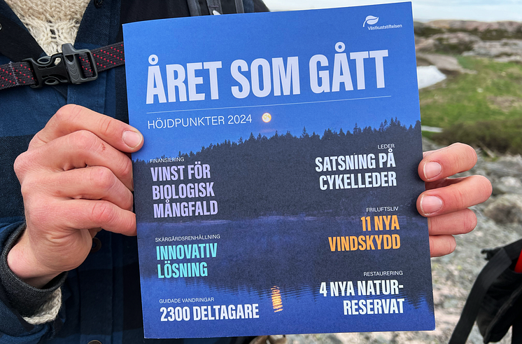 Året som gått_nythetsbild.png
