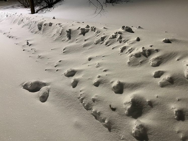 snø