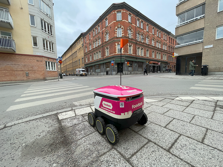foodorarobot1.png