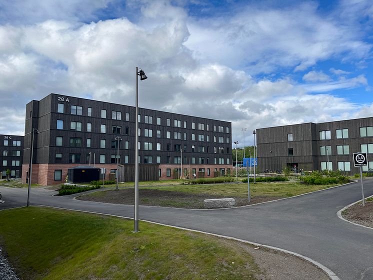 Byggetrinn 3 på Kringsjå