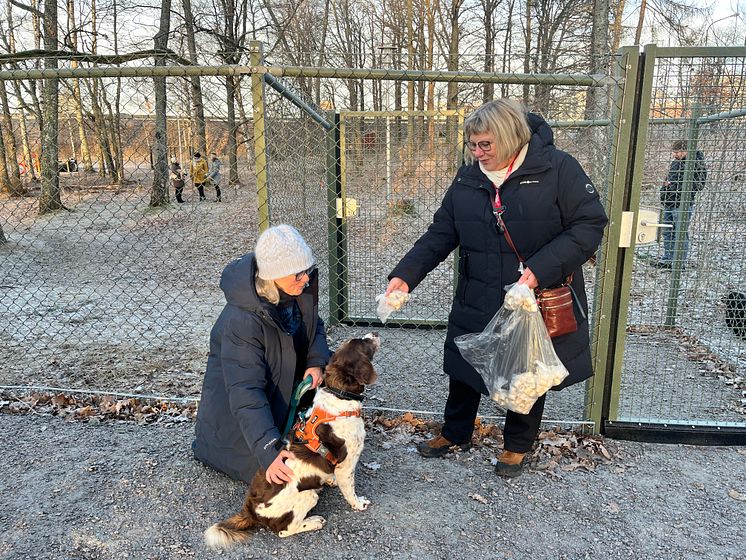 Marianne, Christel och Duke.jpg