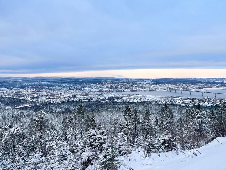 iStock-2057576162.jpg