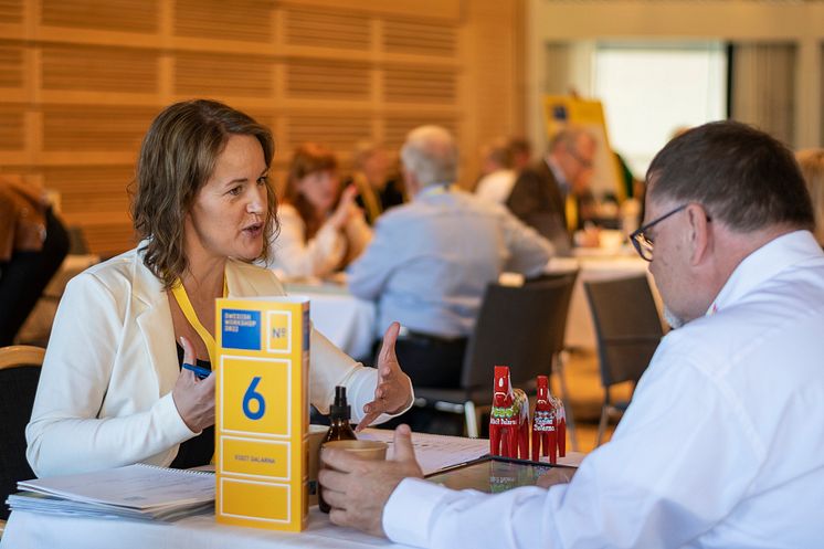 Swedish Workshop Falun