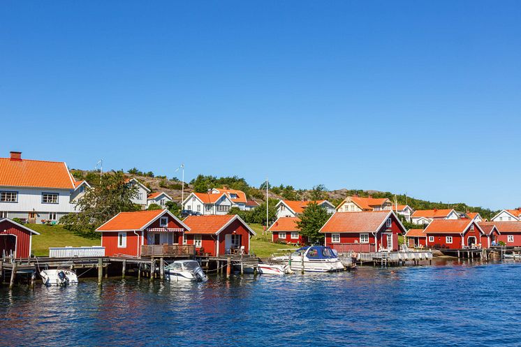 strandskydd, strandskydd jurist, strandskyddsdispens, jurist, strandskyddsjurist, miljörätt, miljö, miljöbalken,, fd advokat Giedre Jirvell.jpg