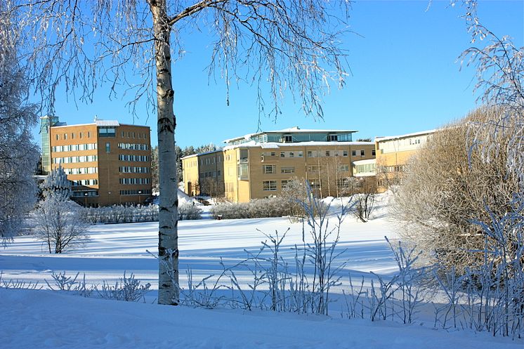 231214zz.jpg