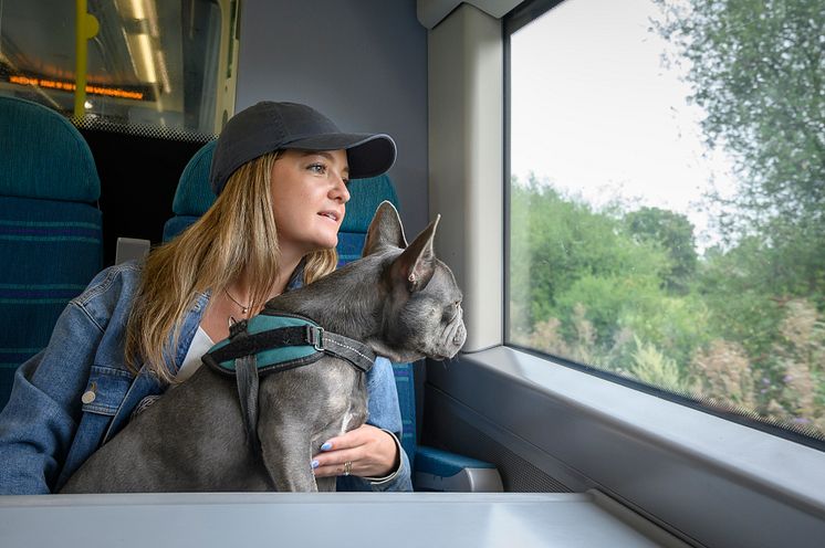 Take your dog on a day trip this summer with Southern, Thameslink, Gatwick Express or Great Northern