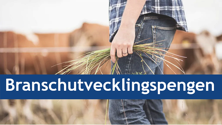 Branschutvecklingspengen 2025.png
