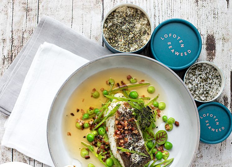 Lofoten Seaweed, Day 5, Culinary Voyage, Ocean superfood Photo Arni_Coraldo.jpg