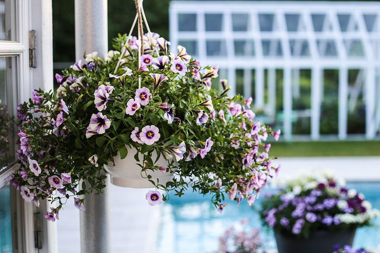 Blomsterfrämjandet_HannaWendelbo_high-24.jpg