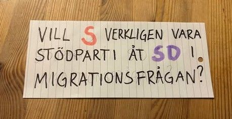 Stödparti åt SD beskuren.jpg