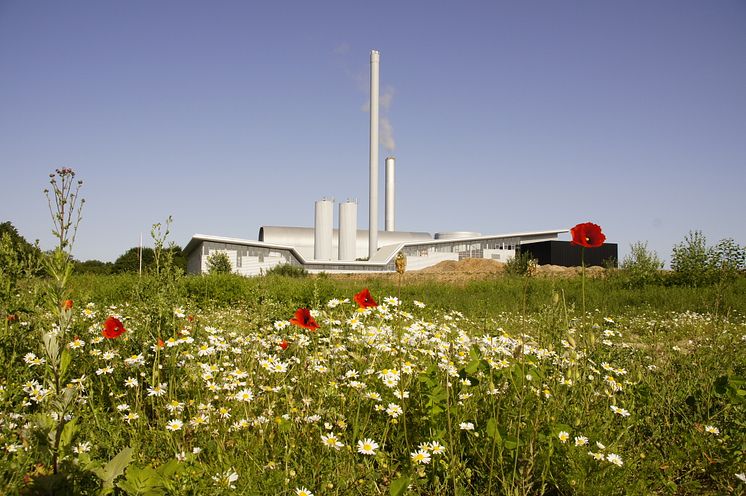 Sønderborg kraftvarme- og flisværkværk.JPG