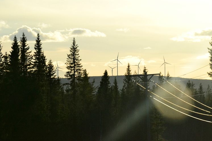 Elåret vindkraft.jpg