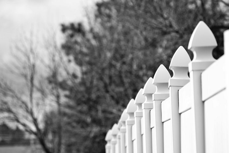 pexels-brett-sayles-942469.jpg
