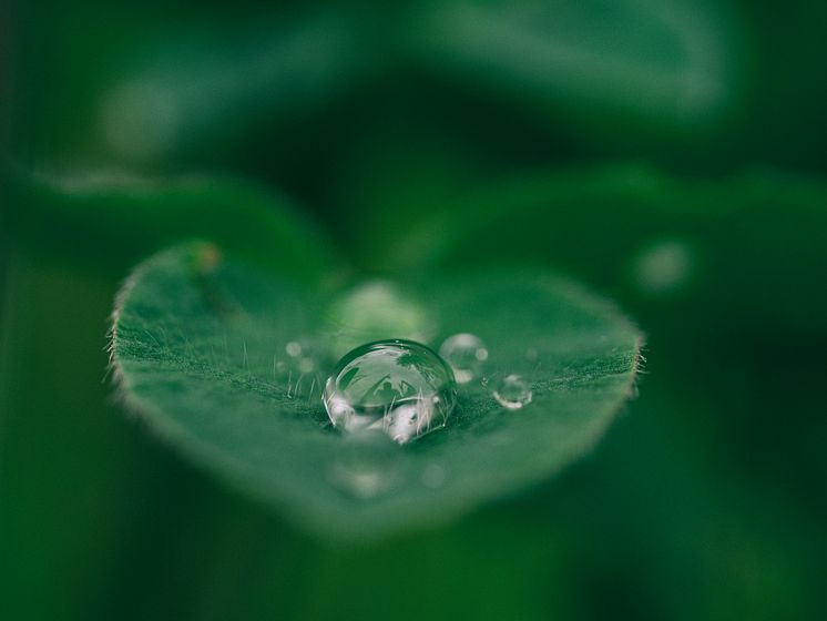 aaron-burden-dXYE1d08BiY-unsplash