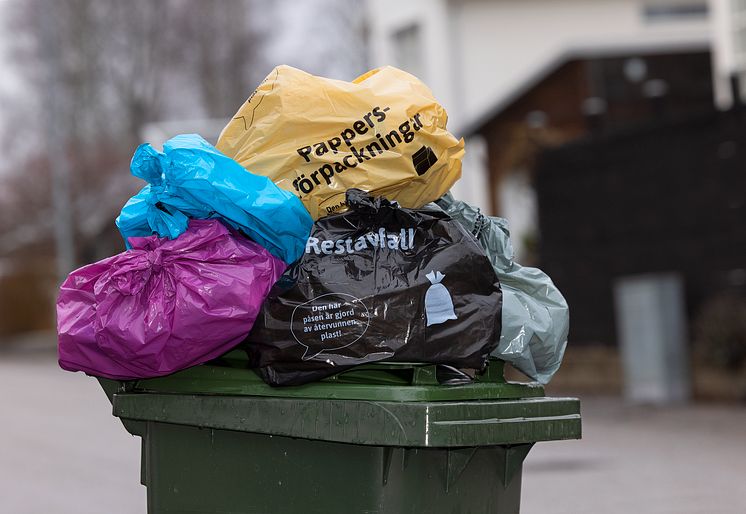 Bild på avfallspåsefamiljen.tif