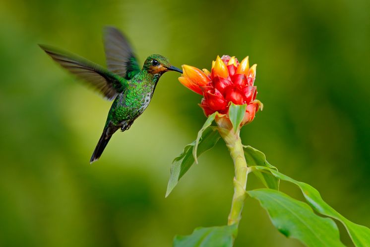 shutterstock_362337320.jpg
