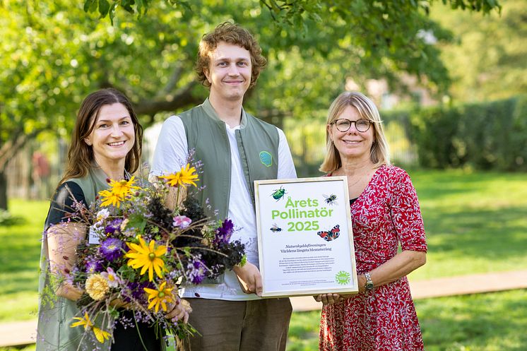 Naturskyddsföreningen korades måndagen 8 september till Årets Pollinatör 2025 för sitt framgångsrika arbete med projektet "Vä