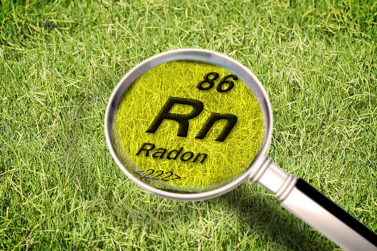 AdobeStock_258910502_markradon.jpeg