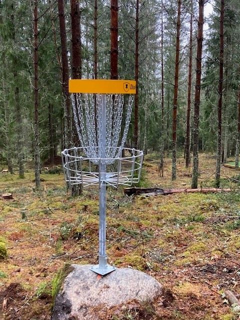 discgolf moheda.jpg
