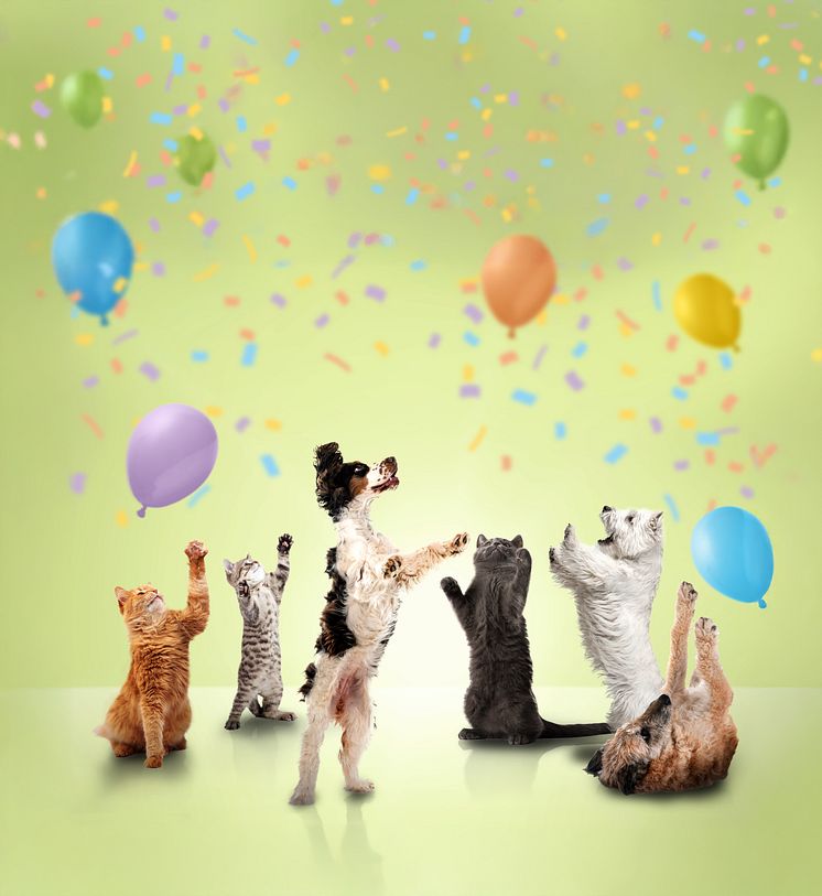 Celebration_Keyvisual__300dpi_RGB.JPEG
