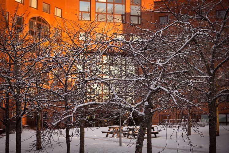 Kommunhus vinter