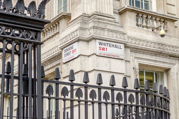 Whitehall banner.jpeg