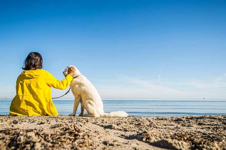 Lübeck_Travemünde_Seebad,_Frau_mit_Hund_am_Strand.jpg