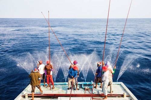 Pole and line fishing maldives group-spo