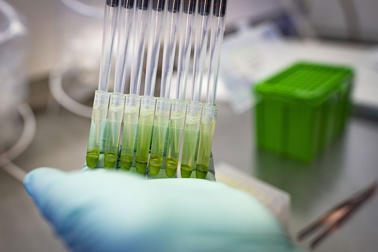 Laboratorie_Nordic Seed.jpg