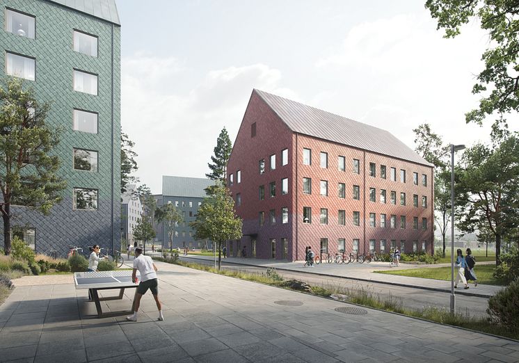 Norra Campusparken, Umeå