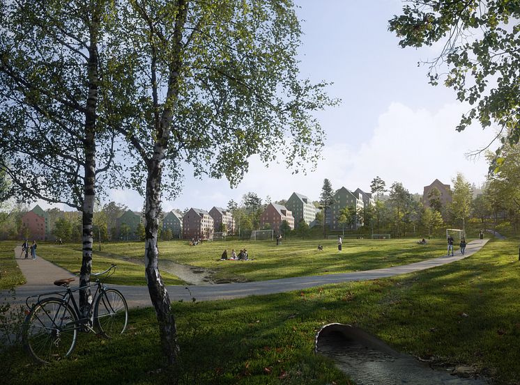Norra campus parken.jpg