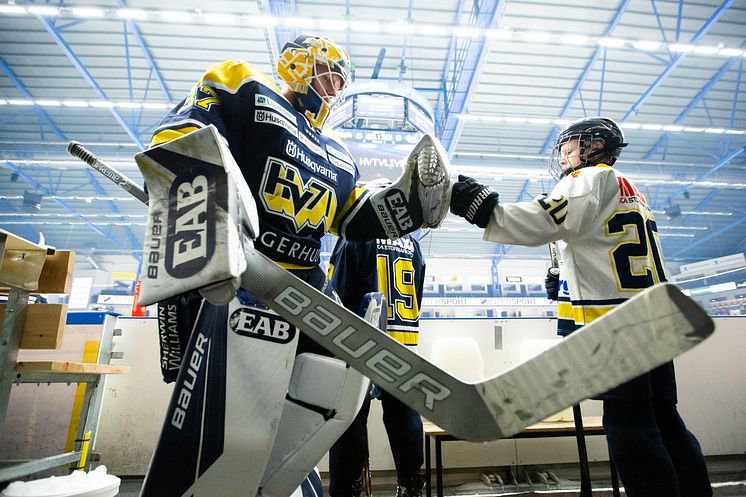 HV71.jpg