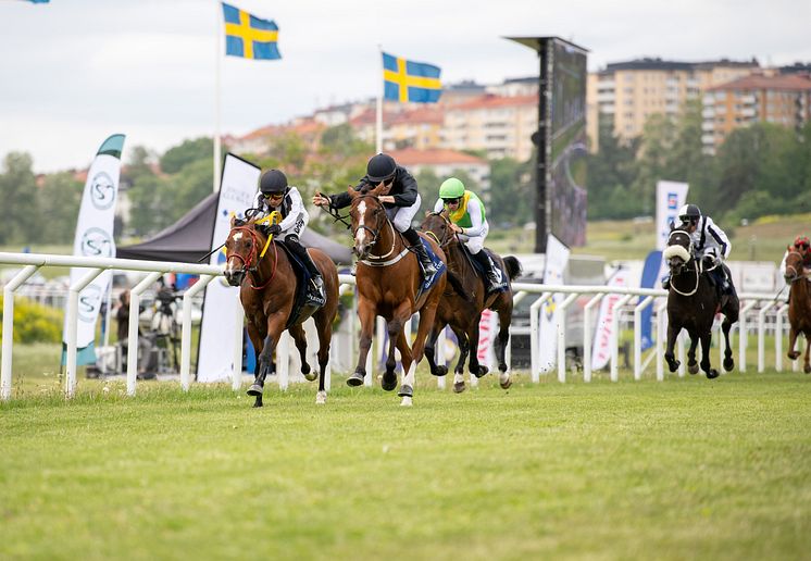 Nationaldagsgaloppen 2025 DSC_8283.jpg