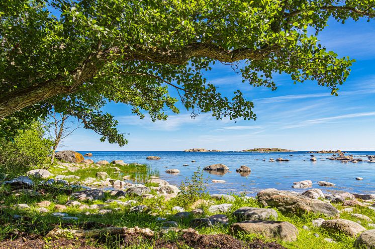 Giedre Jirvell, strandskydd, strandskyddsjurist, jurist, advokat, överklaga strandskydd, strandskyddsdispens, miljöbalken, miljö, miljörätt.jpg
