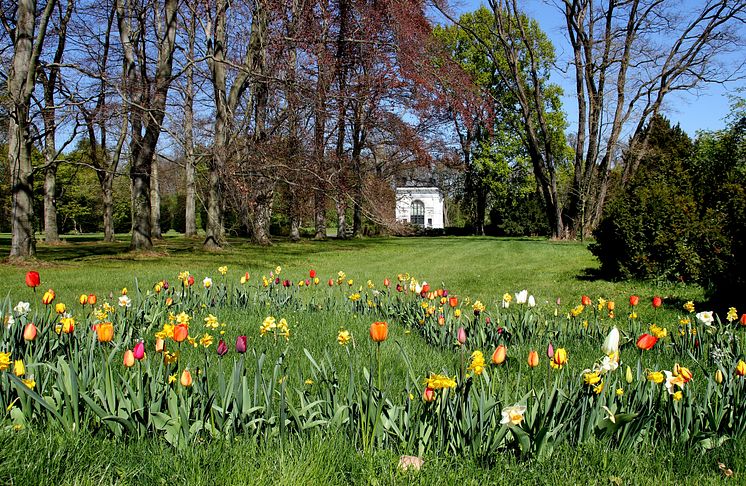 buntes_Herz_16_04.jpg