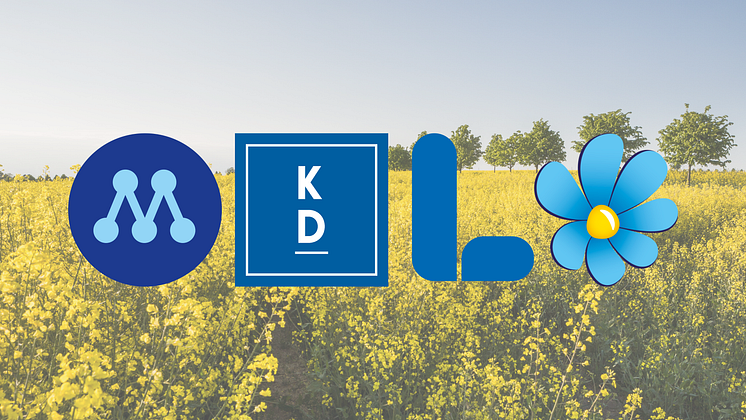 Kopia av Borgerliga Gruppen i Malmö Stads Kulturnämnd