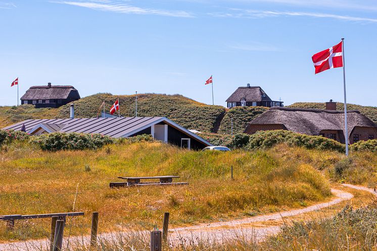 danske sommerhuse.jpg