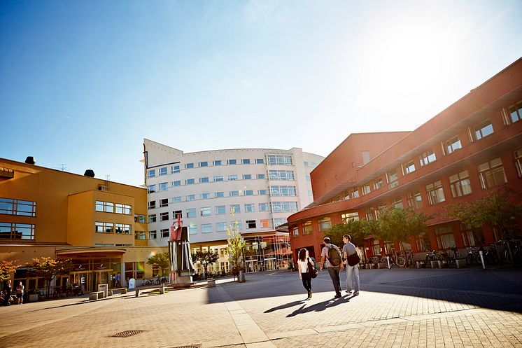 Campus 3 - the one