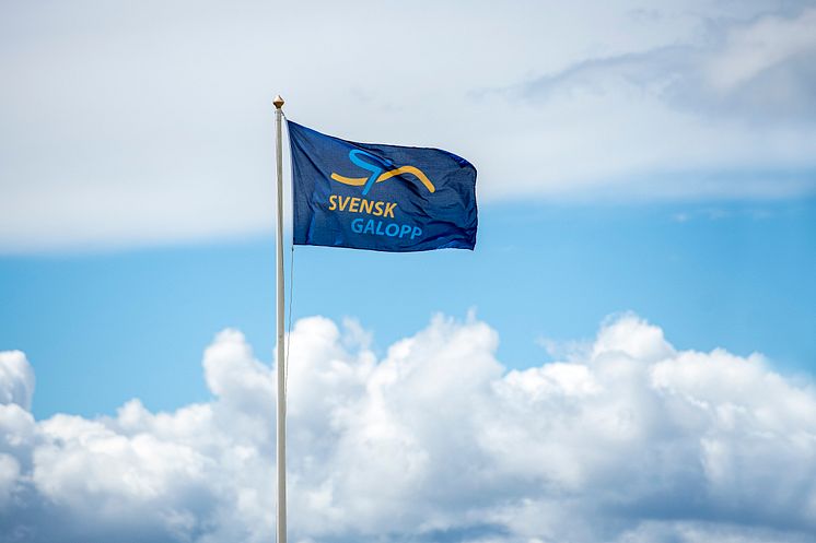 Svensk Galopp flagga.jpg