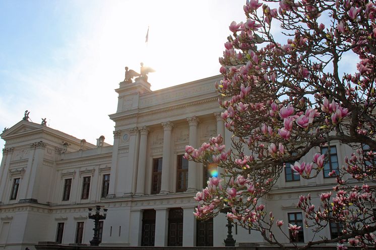 Universitetshuset
