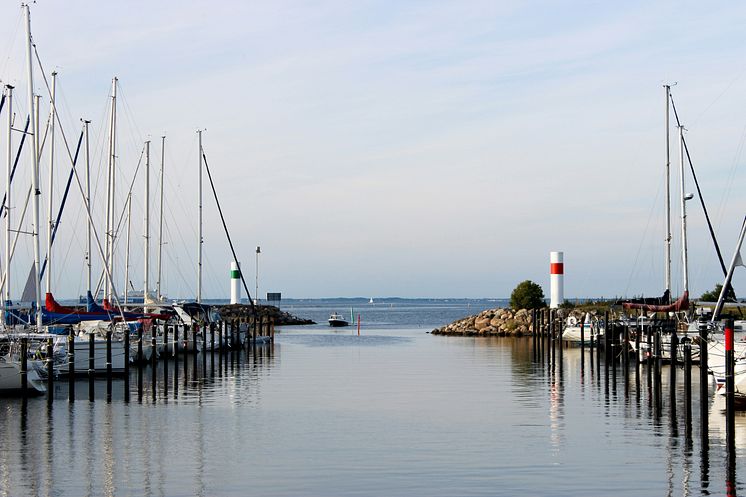 hamn 2.jpg